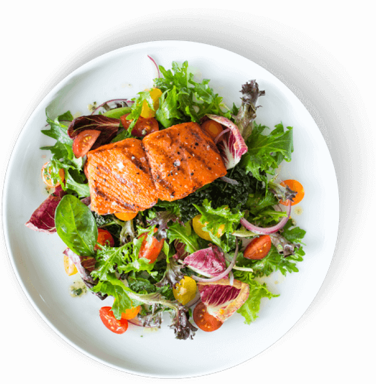 Large meal on white plate